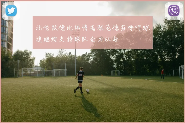 北伦敦德比热情高涨范德芬呼吁球迷继续支持球队全力以赴
