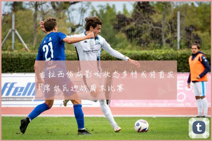 吉拉西伤病影响状态多特或将首发F席尔瓦迎战周末比赛